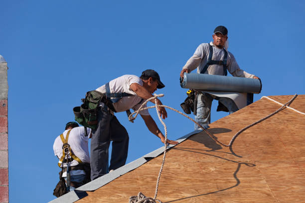Best Roof Leak Repair  in Aberdeen, IN